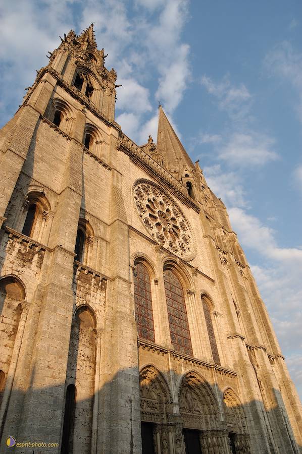 Nom de l'image : D1066654-nef_(c)Norbert-JUNG — Description :